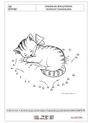 sayıları birleştir resmi tamamla